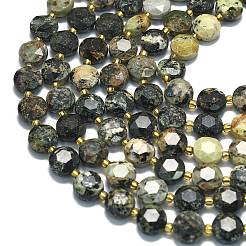 Бусы натуральная африканская бирюза (яшма) G-C116-A133-01