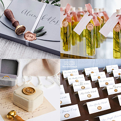 Наборы частиц герметизирующего воска&nbsp;DIY-CJ0001-30