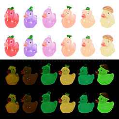 12 pièce&nbsp;RESI-TAD0001-03