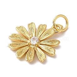 Pendenti in ottone con placcatura a cremagliera e zirconi cubici&nbsp;X-KK-L216-056G