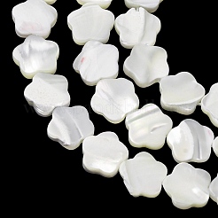 Natürliche Trochidschale / Trochusschalenperlenstränge&nbsp;SH-CBA2978-08