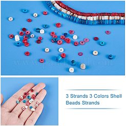 3 нитка 3-х цветных ракушечных бусин SSHEL-NB0001-28