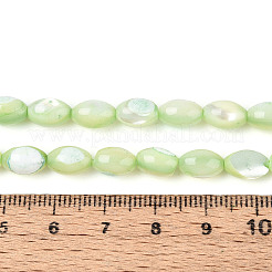 天然ニシキウズガイシェルビーズ連売り  染め  ライス  淡緑色  8.5~9x6mm  穴：0.8mm  約43~45個/連  15.16~15.94''（38.5~40.5cm）。&nbsp;X-SHEL-K006-19-01C