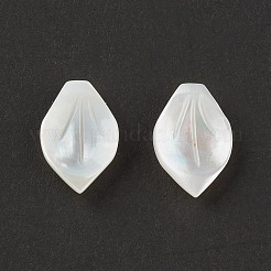 Бусины из натуральных морских раковин SSHEL-T012-15