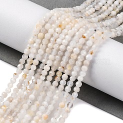Bianco naturale perline pietra di luna fili&nbsp;G-G188-B09-01