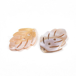 Резные подвески из натуральных пресноводных ракушек SHEL-N036-17