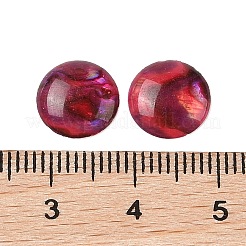 Кабошоны из натуральной раковины морского ушка/ракушки пауа из смолы X-SSHEL-K003-10MM-02