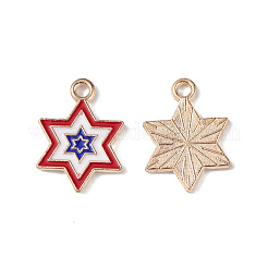 Подвески из сплава с эмалью ко дню независимости&nbsp;ENAM-K067-36