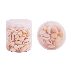 Perle a conchiglia ovale in scatola da 1 scatola con fori per imbarcazioni di 13-17mm di lunghezza&nbsp;BSHE-PH0001-05