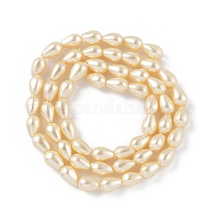 Полированные оболочки жемчужные бусины пряди BSHE-L042-A06