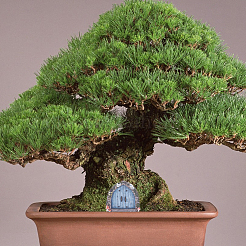 Деревянная скульптура сказочной двери&nbsp;DIY-WH0430-364