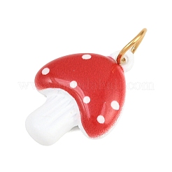 Anhänger aus sprühlackiertem Edelstahl 304&nbsp;STAS-D262-03