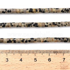 Природные яшмы далматин бисер нитей&nbsp;G-P608-A04-01