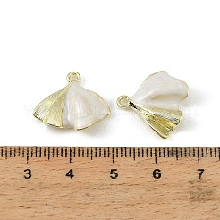 Colgantes de esmalte de aleación&nbsp;FIND-H024-02G