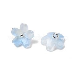 Стеклянные подвески&nbsp;GLAA-G127-05E