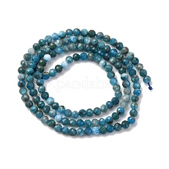 Природного апатита нитей бисера G-RM241221-B12