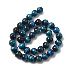 Природных тигровый глаз бисер нитей G-K203-87-10mm