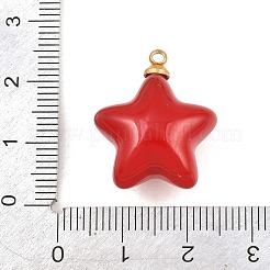 Pendentifs en résine en acier inoxydable 304&nbsp;STAS-K322-10D-02