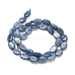 Perline Kyanite naturali fili&nbsp;G-H335-D01-8x12mm