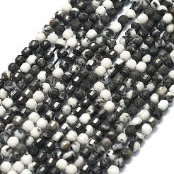 Природные зебры яшмы бисер нитей G-A260-A52-01