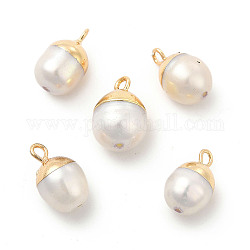 Anhänger der echten Perle, oval Charme, mit Messing-Schleifen, weiß, Licht Gold, 13~16x8~10x8~10 mm, Bohrung: 1.8 mm