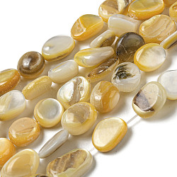 Naturali giallo perline shell fili, tinto, pepite, goldenrod, 9~16.5x8~9x2.4~7mm, Foro: 0.8 mm, circa 34~35pcs/filo, 14.96~15.16'' (38~38.5 cm)
