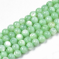 Eau douce naturelle de coquillage perles brins, teinte, ronde, vert clair, 4mm, Trou: 0.8mm, Environ 97~99 pcs/chapelet, 14.88 pouce ~ 15.16 pouces (37.8~38.5 cm)