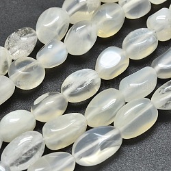 Naturelles perles pierre de lune blanc brins, pépites, pierre roulée, 12~15x6~8x5mm, Trou: 0.8mm, Environ 34 pcs/chapelet, 15.75 pouce (40 cm)