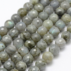 Natural Labradorite Beads Strands, Round, Faceted, 10mm, Hole: 1mm, about 39pcs/strand, 15.1 inch(38.5cm)