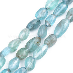 Chapelets de perles de quartz naturel, pierre roulée, pépites, bleu ciel, 5~13x5~10x3~8mm, Trou: 1mm, Environ 40~60 pcs/chapelet, 14.57 pouce ~ 15.74 pouces (37~40 cm)