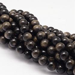 Chapelets de perles en obsidienne dorée naturelle, ronde, 8mm, Trou: 1mm, Environ 50 pcs/chapelet, 15.75 pouce