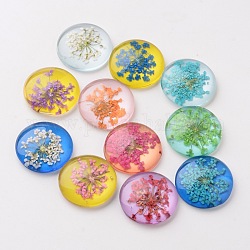 Cabochons à dos plat en verre manuels, demi-rond / dôme, avec des fleurs séchées, couleur mixte, 20x6mm