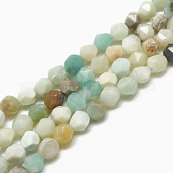 Brins de perles d'amazonite de fleurs naturelles, facette, ronde, 9~10x8~9x8~9mm, Trou: 1mm, environ 38 pièces/14.3 pouces