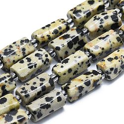 Chapelets de perles en jaspe dalmatien naturelle, avec des perles de rocaille, facette, colonne, 12~13x6~8x6~8mm, Trou: 1mm, Environ 28 pcs/chapelet, 15.55''~15.75' (39.5~40 cm)