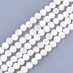 Chapelets de perles en coquille d'eau douce , plat rond, couleur de coquillage, 6x2~3mm, Trou: 0.5mm, Environ 64~68 pcs/chapelet, 14.5 pouce