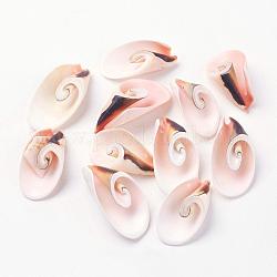 Shell perle naturali di acqua dolce, colore conchiglia, 30~45x15~25x10~15mm, Foro: 1 mm, circa 111pcs/500g