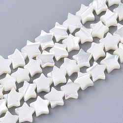 Chapelets de perles de coquille de trochid / trochus coquille, étoiles du nord, blanc crème, 6.5x7x2.5~3mm, Trou: 1mm, Environ 62~71 pcs/chapelet, 14.57 pouce ~ 15.35 pouces