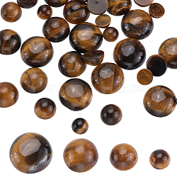 SUNNYCLUE 40Pcs 4 Styles Natural Tiger Eye Cabochons, Half Round/Dome, 6~12x3~5mm, 10pcs/style