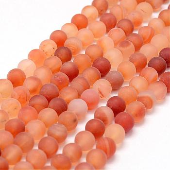 Hebras de perlas de cornalina natural helada, redondo, teñido y climatizada, rojo, 8mm, agujero: 1 mm, aproximamente 48 pcs / cadena, 15.2 pulgada