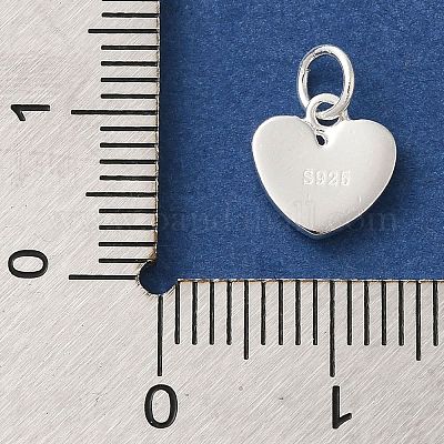 925 серебряная имитация еды FIND-U013-11S-03-1