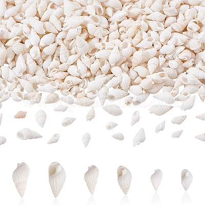450 шт. 3 вида натуральных спиральных бусин-ракушек BSHE-GA0001-03-1