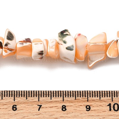 Нити бусин из натуральных трохоидных/трохус ракушек SHEL-B003-02B-1