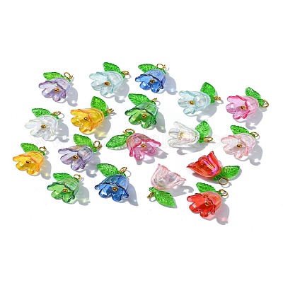 Акриловые кулон PALLOY-YW027-01-1