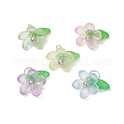 Подвески из пластика и акрила PALLOY-JF03053-02-1