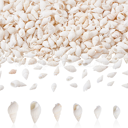 450 шт. 3 вида натуральных спиральных бусин-ракушек BSHE-GA0001-03-1