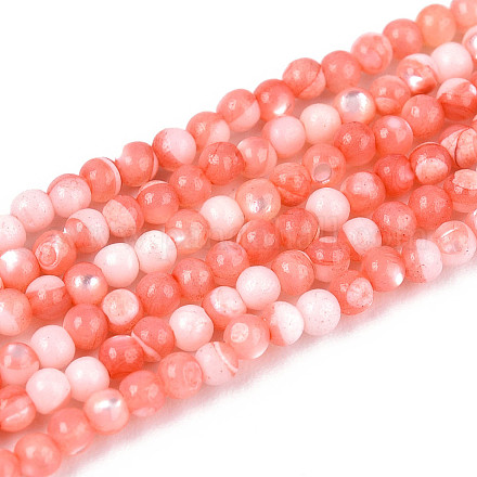 Нити бусин из окрашенных натуральных ракушек трохид/трохус SSHEL-T017-13D-1