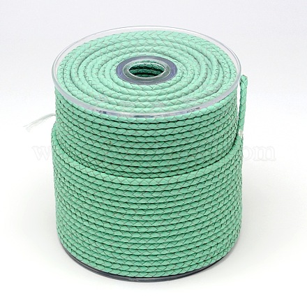 Eco-Friendly Braided Leather Cord WL-E008-6mm-01-1