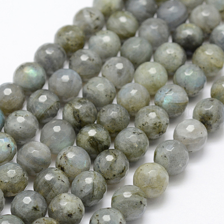 Natural Labradorite Beads Strands G-P322-28-10mm-1