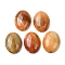 Natural Multi-Color Agate Cabochons, Oval, 20~20.8x15~15.5x5.8~6.5mm
