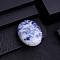 Natural Blue Spot Jasper Sculpture Display Decorations, for Home Office Desk Decoration. Oval, 45x35mm